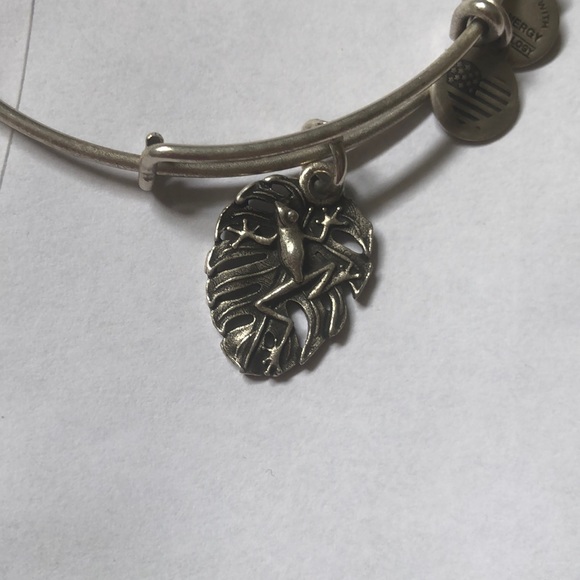 Tree frog - Picture 2 of 4